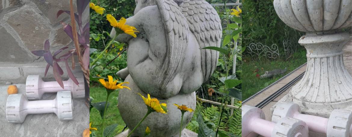 Твои гантели и ангелы