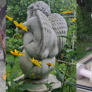 Твои гантели и ангелы