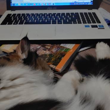 12 советов от моей МУЗЫ ЧАРЫ как сосредоточиться и начать писать