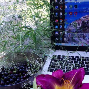 Мемуары ‒ это стильно!